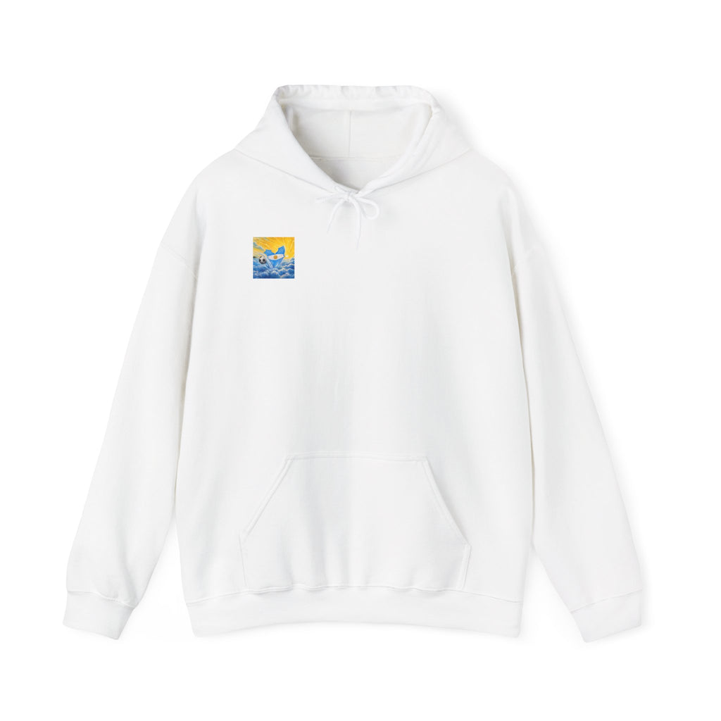 Argentina Mermaid Soccer Pass -Hooded Sweatshirt